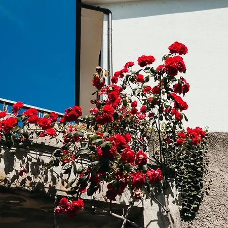 Apartman Miralago Playa - Lakeside L&b Feriolo