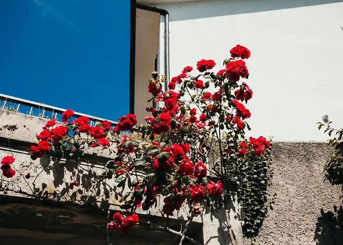 Appartement Miralago Playa - Lakeside L&b Feriolo